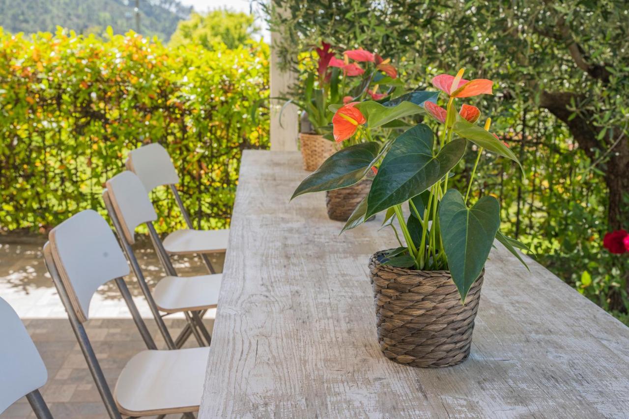 Timo - Villa Luisa: Con Vasca Idromassaggio Privata Casarza Ligure Exterior foto